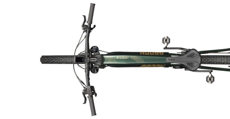 Radon Jealous Hybrid 9.0 750 – Bild 2