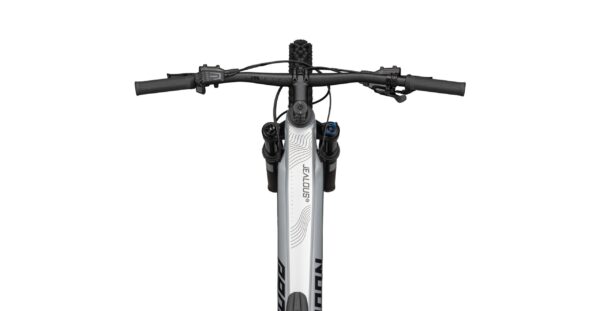Radon JEALOUS HYBRID 8.0 750 – Bild 6