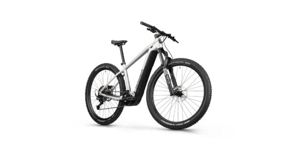 Radon JEALOUS HYBRID 8.0 750 – Bild 2