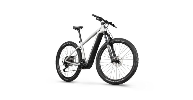Radon JEALOUS HYBRID 8.0 750 – Bild 2