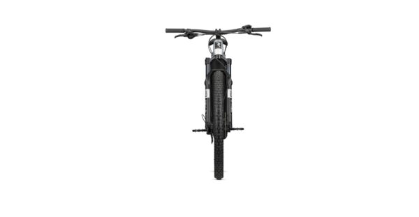Radon JEALOUS HYBRID 8.0 750 – Bild 4