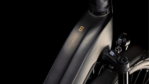 Cube Kathmandu Hybrid SLT Easy Entry 800 golddust´n´black – Bild 3