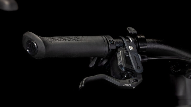 Cube Kathmandu Hybrid SLT Easy Entry 800 golddust´n´black – Bild 7