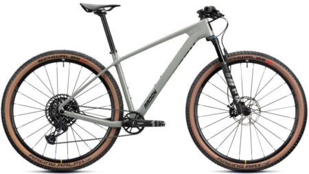 Radon Jealous 8.0